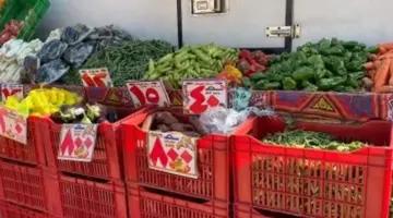 بكم الطماطم؟.. أسعار الخضراوات والفاكهة بكفر الشيخ الإثنين 6 إبريل 2026